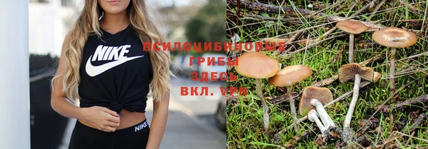 бутик Няндома