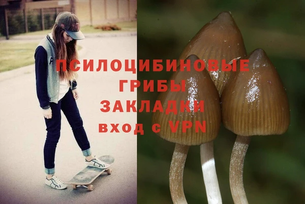 кристаллы Осташков