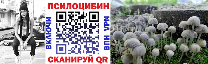 купить наркотики цена  Ишим  Псилоцибиновые грибы мухоморы 