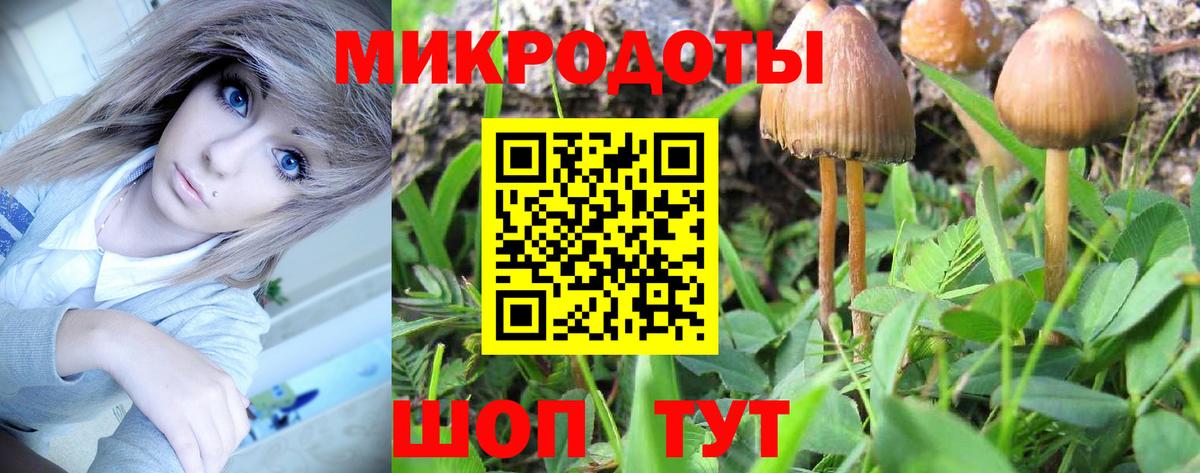 Метамфетамин Ишим
