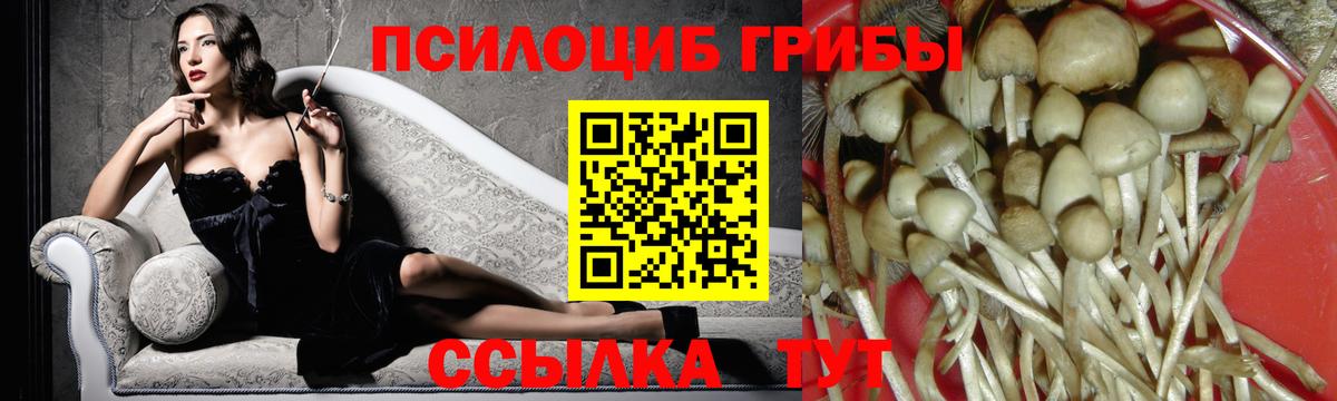 Галлюциногенные грибы MAGIC MUSHROOMS  наркота  Ишим  Вход с VPN 